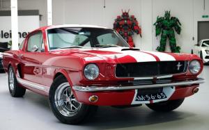 Shelby GT350 Tribute Edition